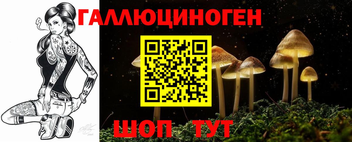 Галлюциногенные грибы прущие грибы  Вход с VPN  Ессентуки 